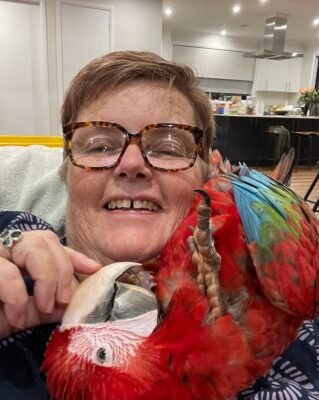 Blue Macaw For Sale - Blue and Gold Macaw For Sale | Hyacinth Macaws