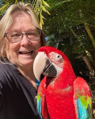 Blue Macaw For Sale - Blue and Gold Macaw For Sale | Hyacinth Macaws